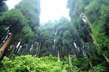 Similar image 11798588