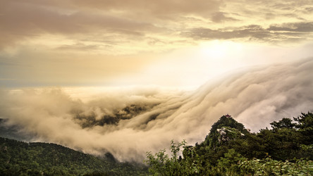 Similar image 11798618