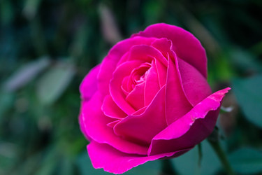 Similar image 11798640