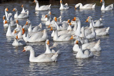 Similar image 11785882