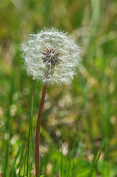 Similar image 11786113