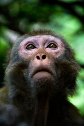 Similar image 11786229