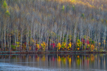 Similar image 11786459