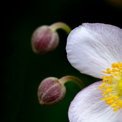 Similar image 11786589