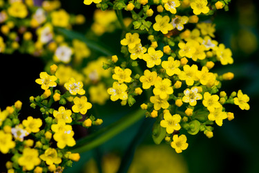 Similar image 11786596