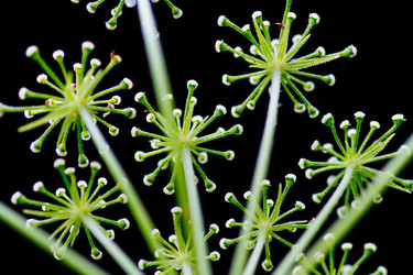 Similar image 11786678