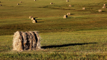 Similar image 11787307