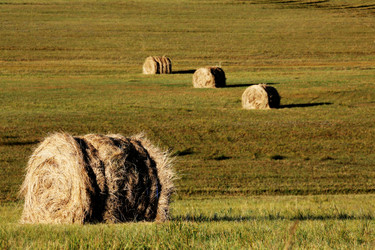 Similar image 11787325