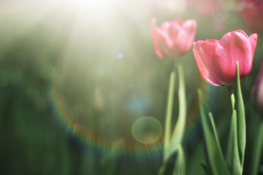 Similar image 11787452