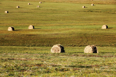 Similar image 11787497