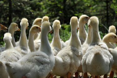 Similar image 11787581