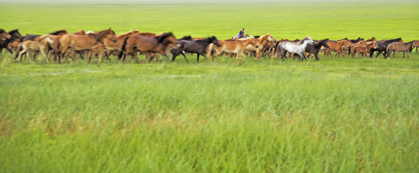 Similar image 11787711