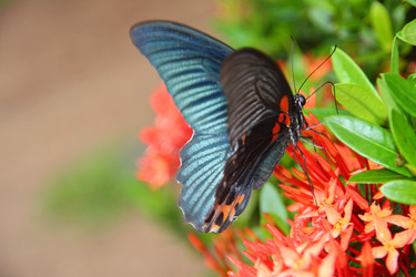 Similar image 11787743