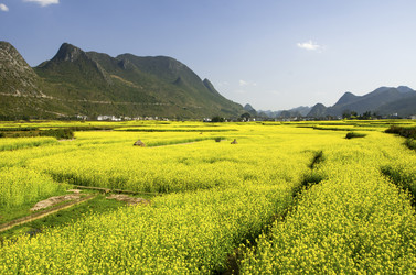 Similar image 11787938