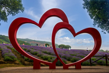 Similar image 11787863