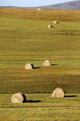 Similar image 11788007