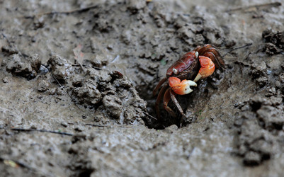 Similar image 11788306