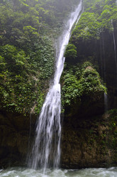 Similar image 11788701