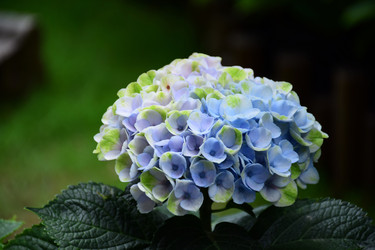 Similar image 11788552