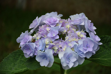 Similar image 11788657