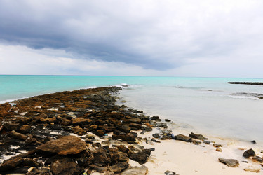 Similar image 11788870