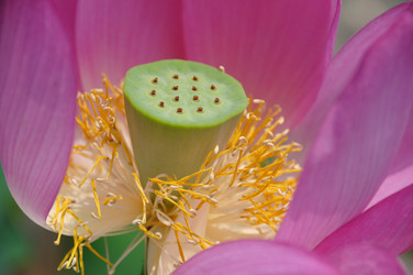 Similar image 11788809