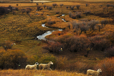 Similar image 11788959