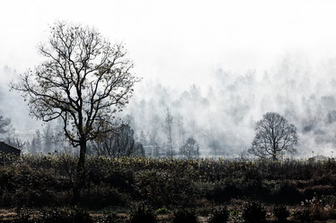 Similar image 11789023