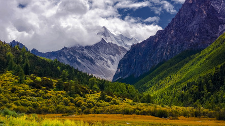 Similar image 11789914