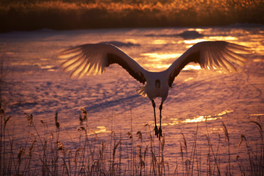 Similar image 11790019