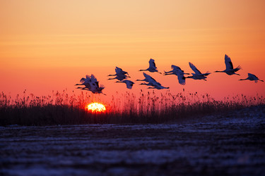 Similar image 11793415