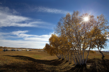 Similar image 11793524