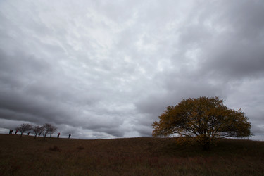 Similar image 11793783