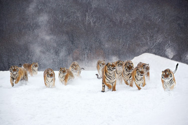 Similar image 11794297