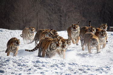 Similar image 11794456