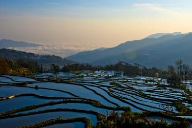 Similar image 11794733