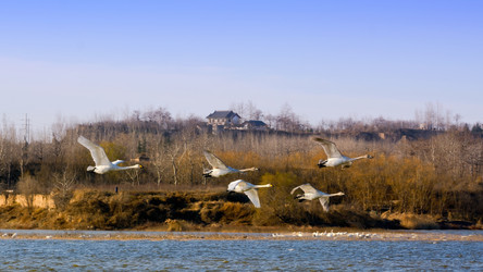 Similar image 11794885