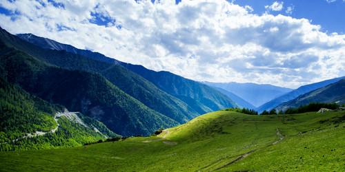 Similar image 11796030