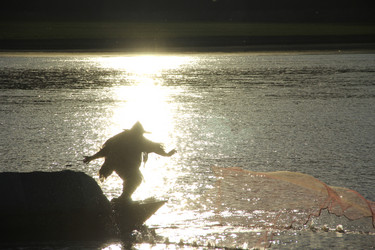 Similar image 11796284