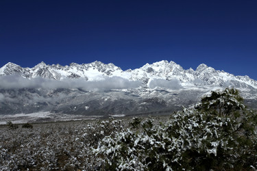 Similar image 11796349