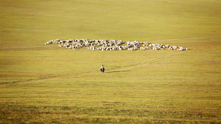 Similar image 11796444