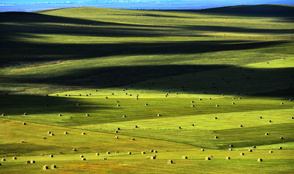 Similar image 11796480