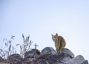 Similar image 11796580