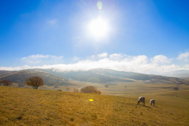 Similar image 11796777