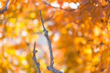 Similar image 11796606