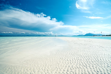 Similar image 11797187