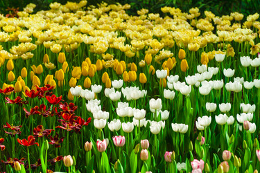 Similar image 11797715