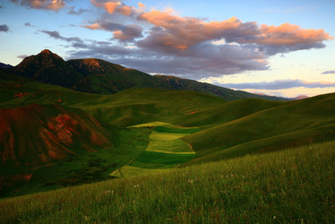 Similar image 11798040