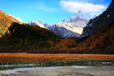 Similar image 11798147