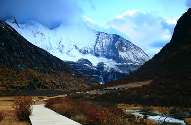 Similar image 11798177